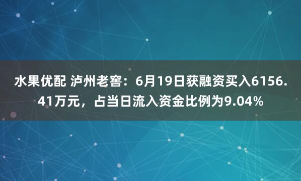 水果优配 泸州老窖：6月19日获融资买入6156.41万元，占当日流入资金比例为9.04%