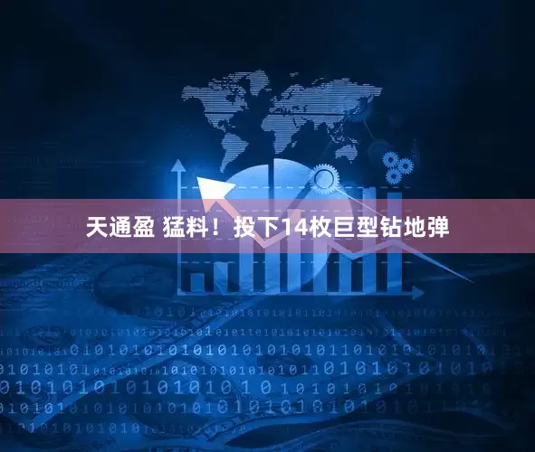 天通盈 猛料！投下14枚巨型钻地弹
