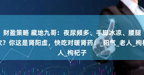 财盈策略 藏地九哥：夜尿频多、手脚冰凉、腰腿酸软？你这是肾阳虚，快吃对暖肾药！_阳气_老人_枸杞子