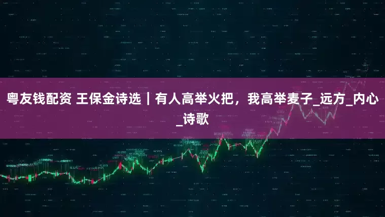 粤友钱配资 王保金诗选｜有人高举火把，我高举麦子_远方_内心_诗歌