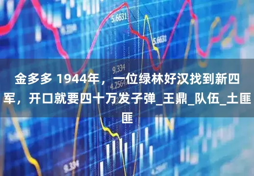 金多多 1944年，一位绿林好汉找到新四军，开口就要四十万发子弹_王鼎_队伍_土匪